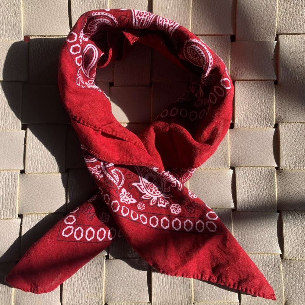Kaiser Collection // Red Paisley Bandana